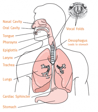 how not to sing through your nose.